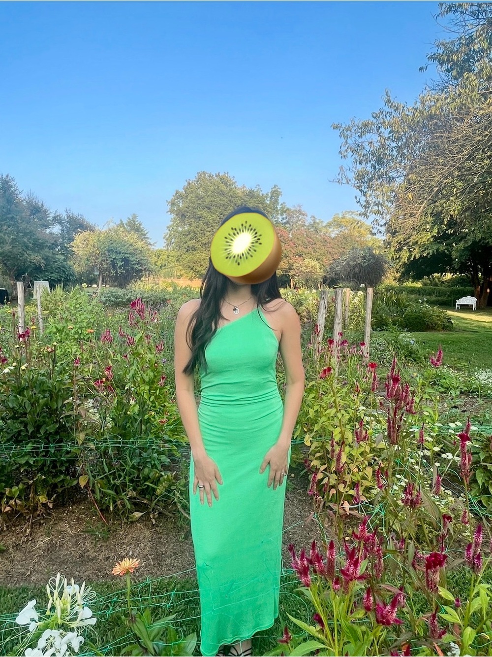 Stunning One-Shoulder Apple Green Maxi Dress